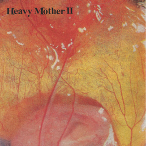 S/T album art
