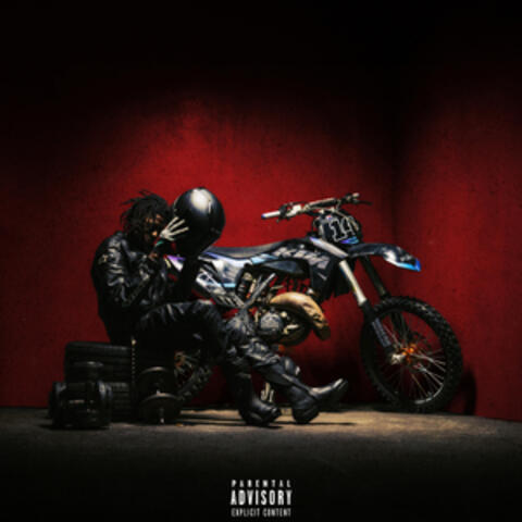 Steeze Kills. album art