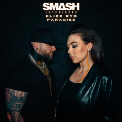 Paradise album art