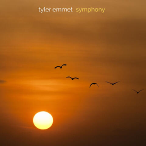 Symphony album art