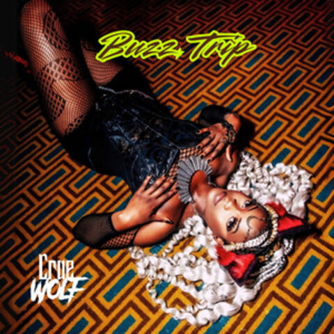 Buzz Trip album art