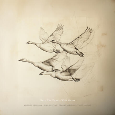 Near The Pond - Wild Geese album art