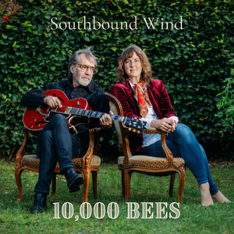 Southbound Wind album art