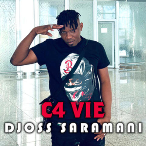 C4 Vie album art