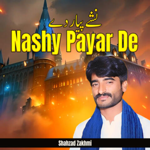 Nashy Payar De album art