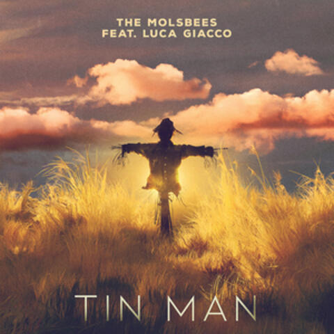 Tin Man album art