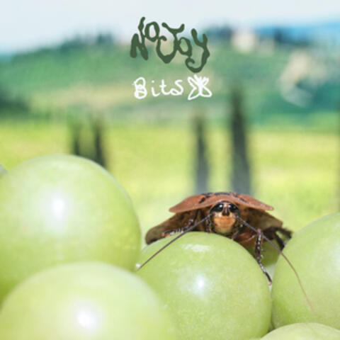 Bits album art