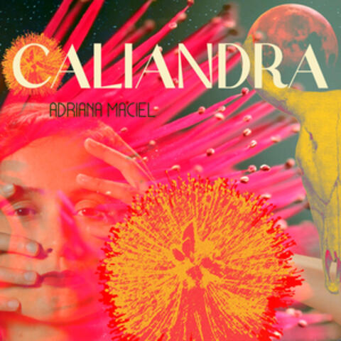 Caliandra album art
