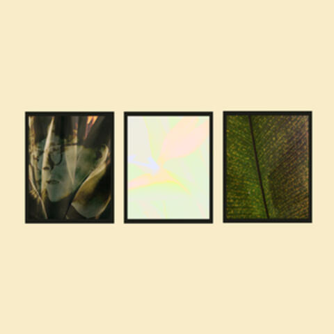 Plant Based Trilogy album art