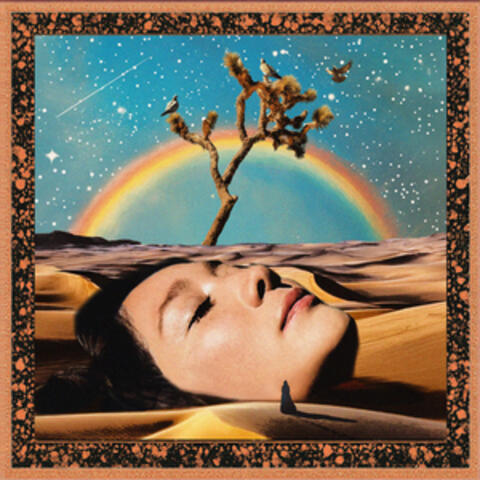 Mourning Doves of Joshua Tree album art