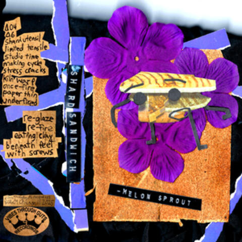 Shard Sandwich album art