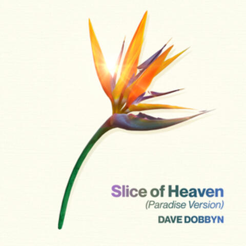 Slice of Heaven album art