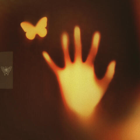 Honey album art