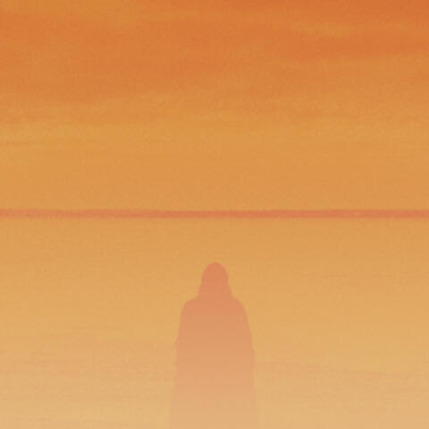 Album bleu album art