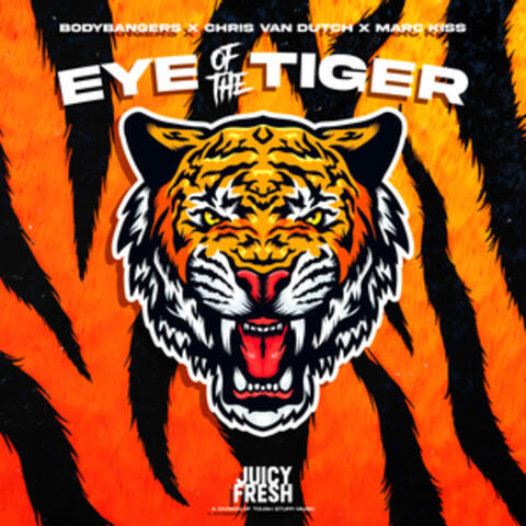 Eye of the Tiger album art