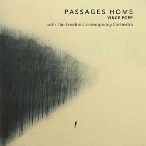 Passages Home album art