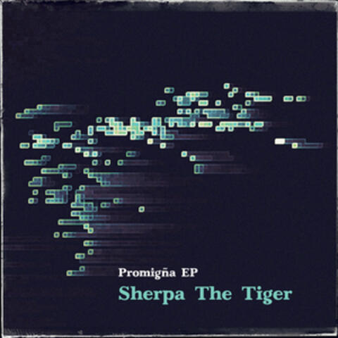 Promigña album art