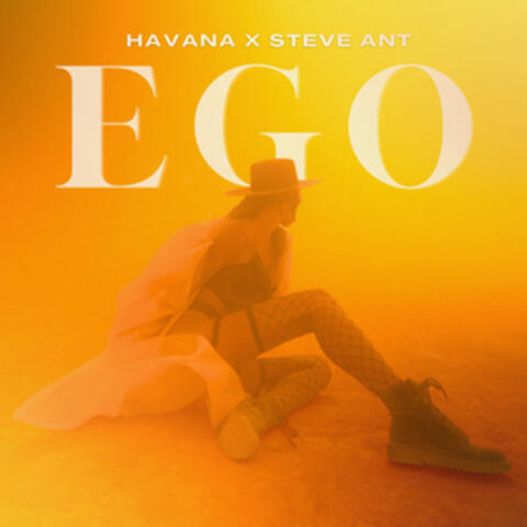 Ego album art