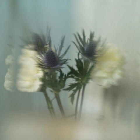 sweet mistake album art