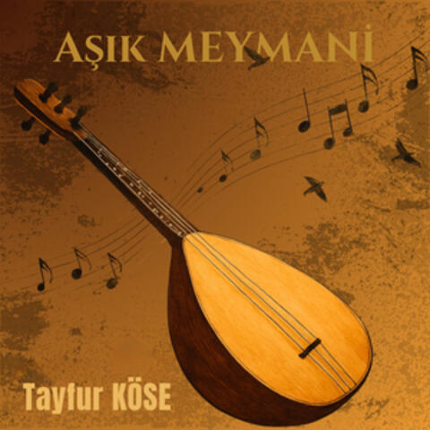 Aşık Meymani album art