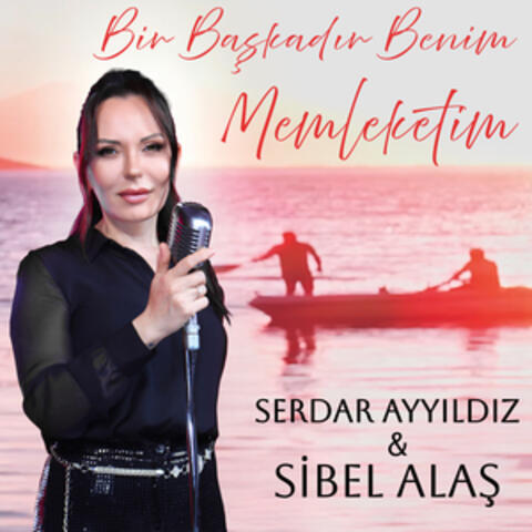 Bir Başkadır Benim Memleketim album art