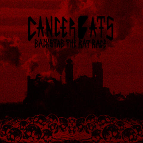 Backstab the Rat Race album art