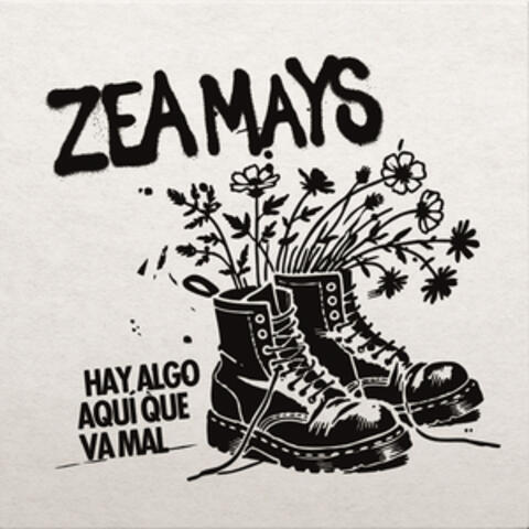 HAY ALGO AQUI QUE VA MAL album art