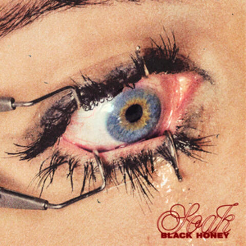 Insulin album art