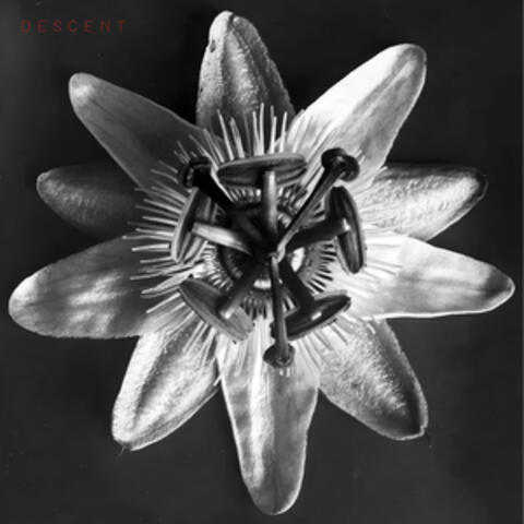 Descent album art