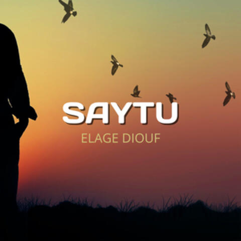 Saytu album art