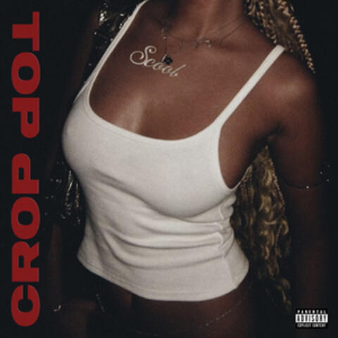 Crop Top album art