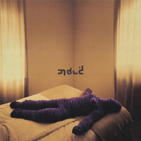YARN album art