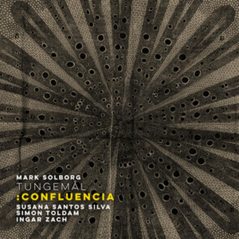 TUNGEMÅL: Confluencia album art