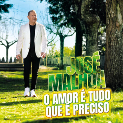 O Amor é Tudo Que é Preciso album art