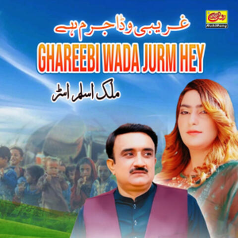 Ghareebi Wada Jurm Hey album art