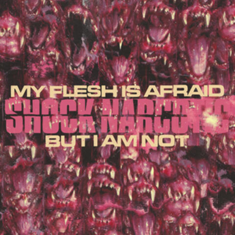 My Flesh Is Afraid But I Am Not album art