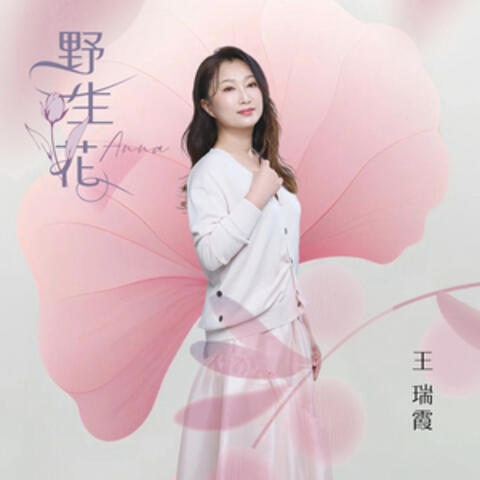 野生花 album art