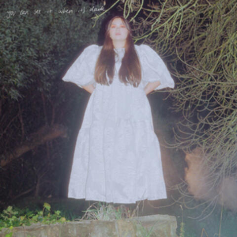 You Can See It When It's Dark album art