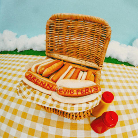 Fint Vær album art