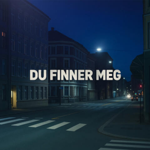 Du finner meg album art