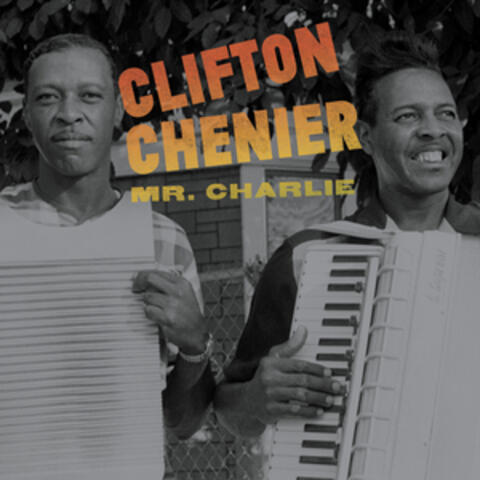 Mr. Charlie album art