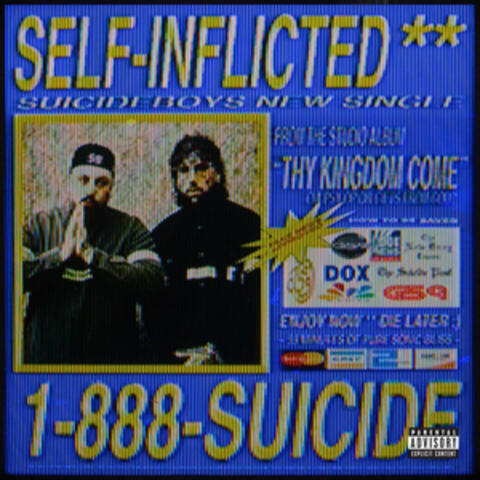 Self-Inflicted album art