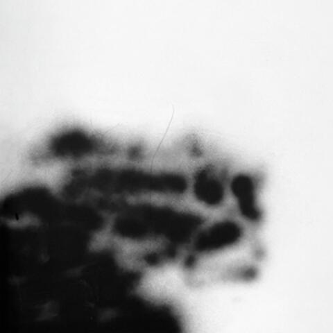Loshult album art