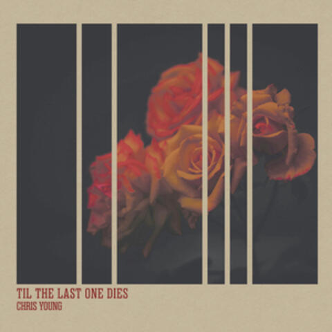 Til The Last One Dies album art