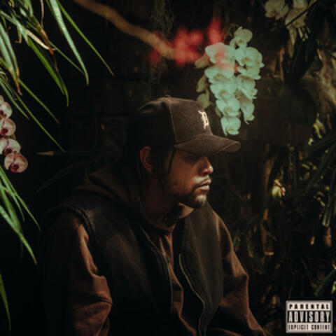 CALHOUN album art