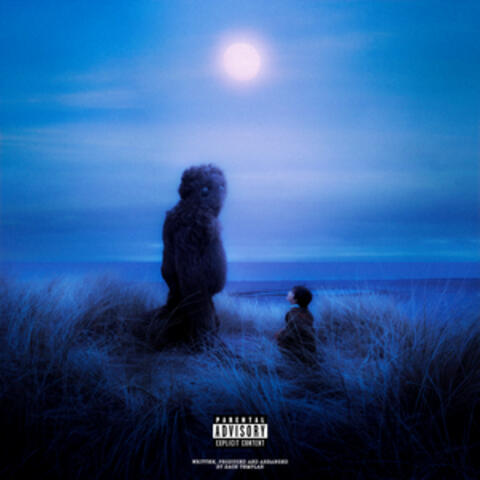 in waves album art