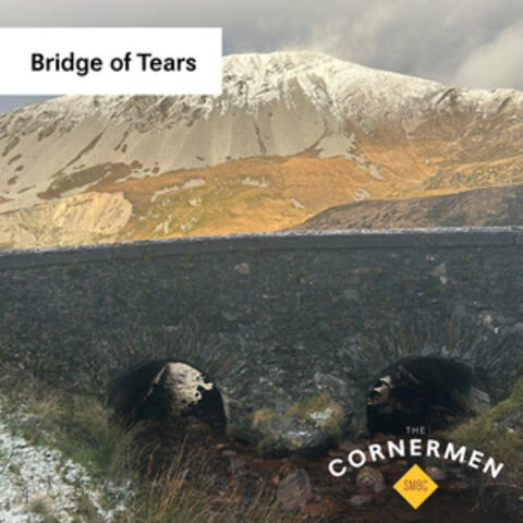 Bridge of Tears album art