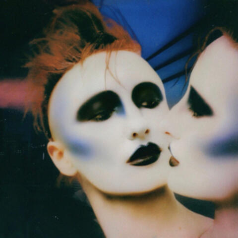 Perversion for Profit album art