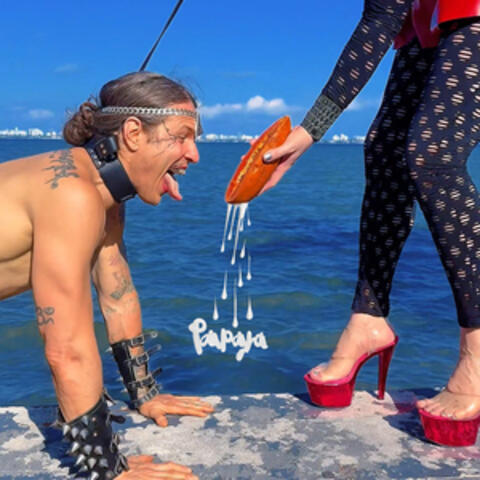 Papaya album art