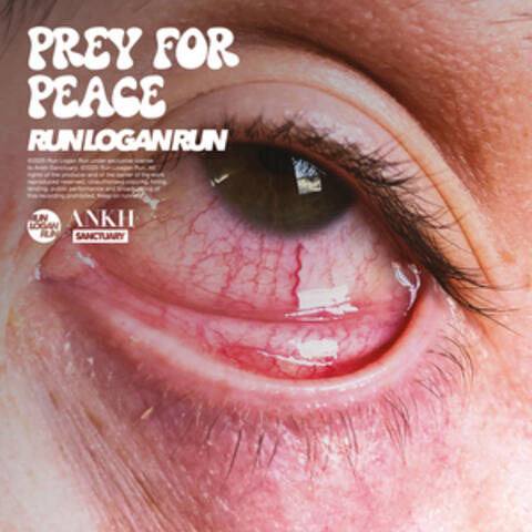 Prey For Peace album art